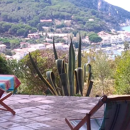 Agave Marciana Marina (Isola d'Elba)